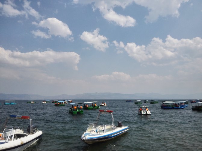 雲南澄江撫仙湖自由行一日遊圖片216,雲南省旅遊景點,風景名勝 - 螞