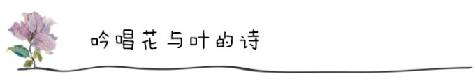 吟唱花与叶的诗 吟唱花与叶的诗