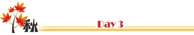 Day 3 Day 3