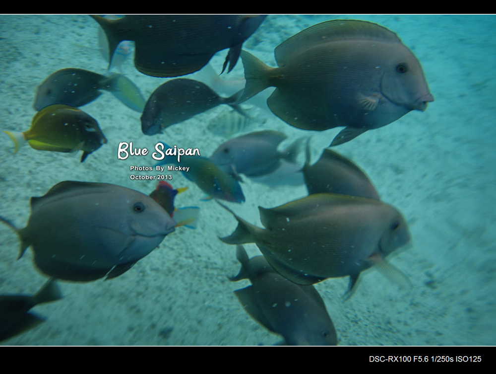 wKgBs1Z6GV6APDmCAAQ98sfBa7s87.jpeg?imageView2%2F2%2Fw%2F680%2Fq%2F90