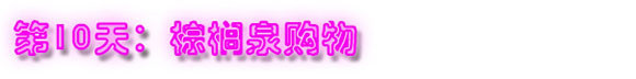 第10天:棕榈泉购物 第10天:棕榈泉购物