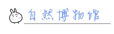 自然博物馆 自然博物馆