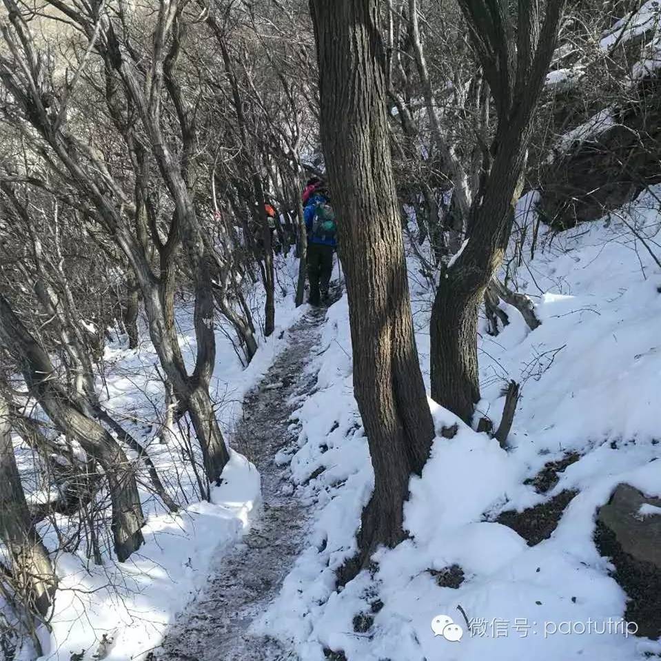 雪霁天晴朗简谱_奇迹暖暖雪霁天图片