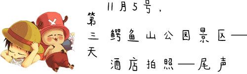 第三天,11月5号,鳄鱼山公园景区—酒店拍照—登船返程 第三天,11月5号,鳄鱼山公园景区—酒店拍照—登船返程
