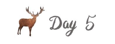 Day 5 哥本哈根第一日 Day 5 哥本哈根第一日