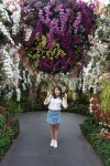 花穹 花穹