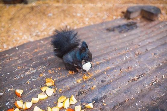 wKgBs1dSUzaAAXl7AACozCasZDs17.jpeg?imageView2%2F2%2Fw%2F600%2Fq%2F90