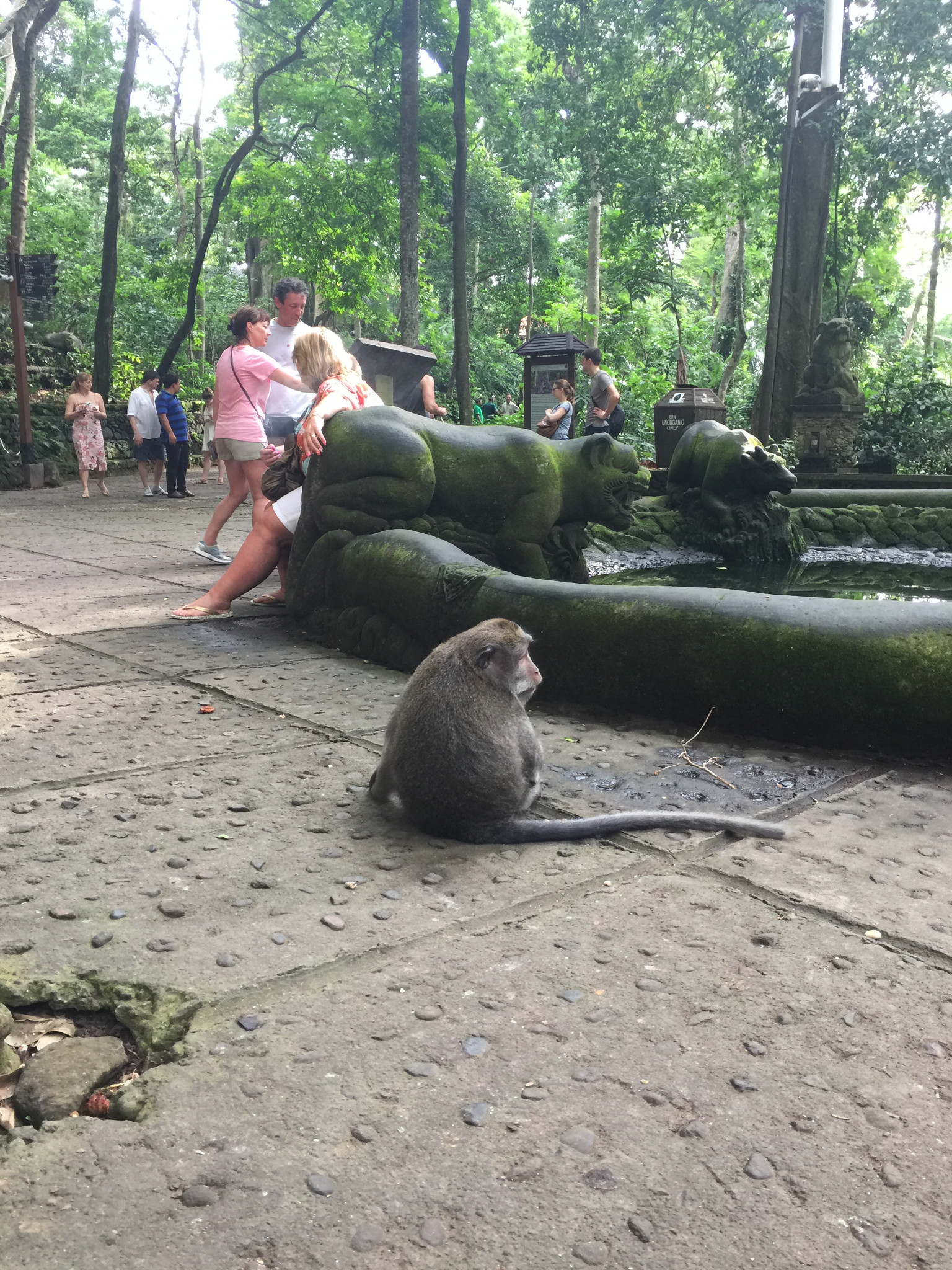 小猴人口算_人口普查
