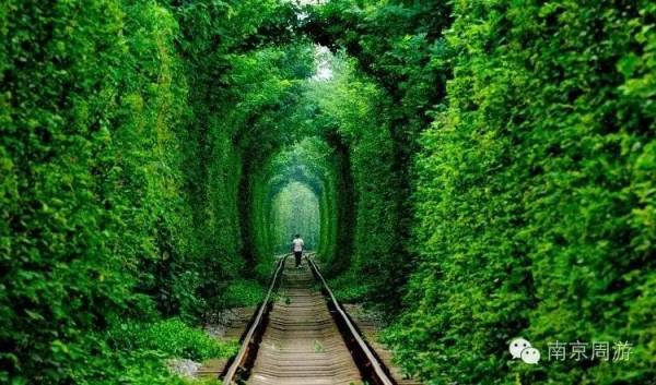 绿叶成荫的意思解释 wKgBs1djVuyAKysyAAFn2_GNuHY03.jpeg?imageView2%2F2%2Fw%2F600%2Fq%2F90