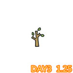 DAY3 1.25 DAY3 1.25