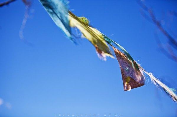 wKgBs1bNeXeAEcmAAABIyArZlXQ31.jpeg?imageView2%2F2%2Fw%2F600%2Fq%2F90