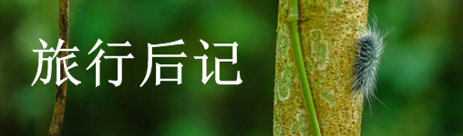 旅行后记 旅行后记