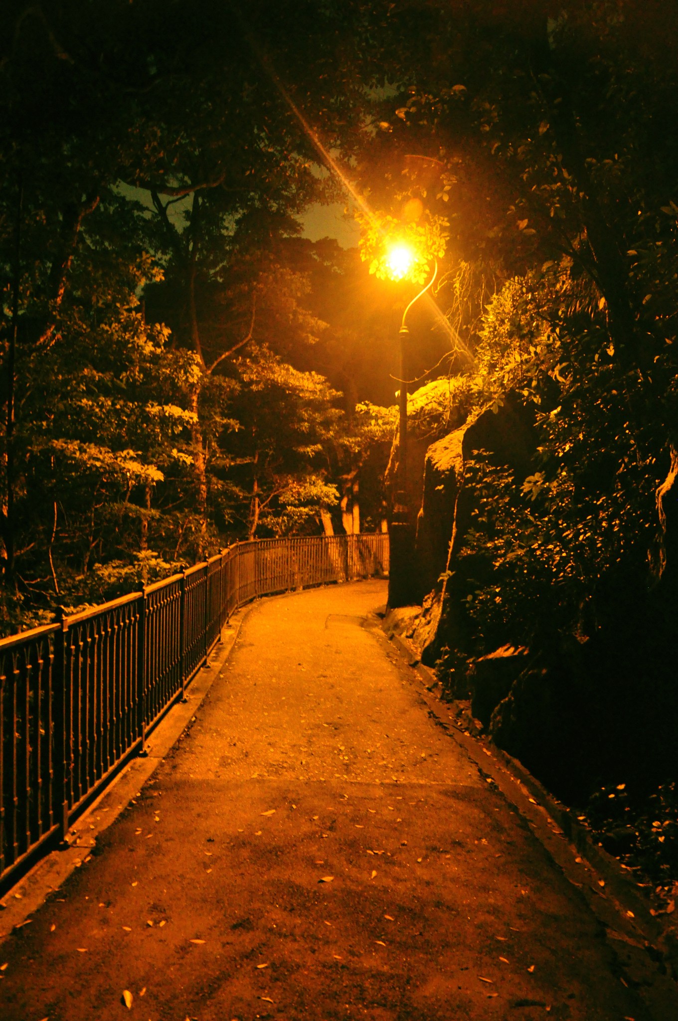 不夜天市井香港