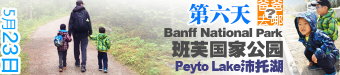 第六天 沛托湖 Peyto Lake 第六天 沛托湖 Peyto Lake