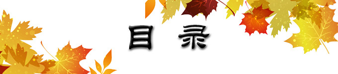 目录 目录