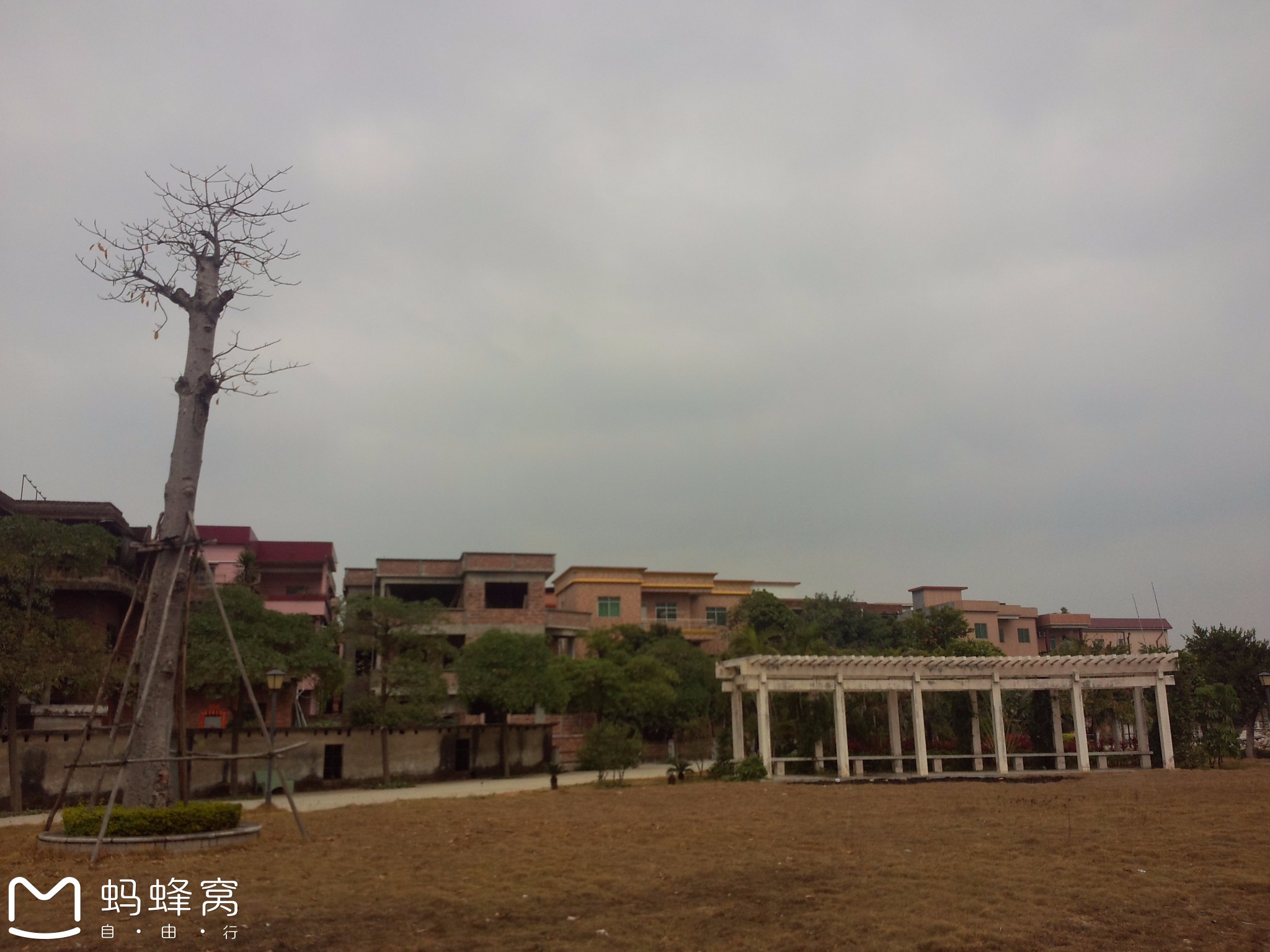 中堂村人口_组中堂丧事大王柯畈村