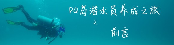 前言 前言