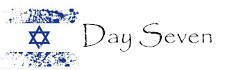 Day Seven Day Seven